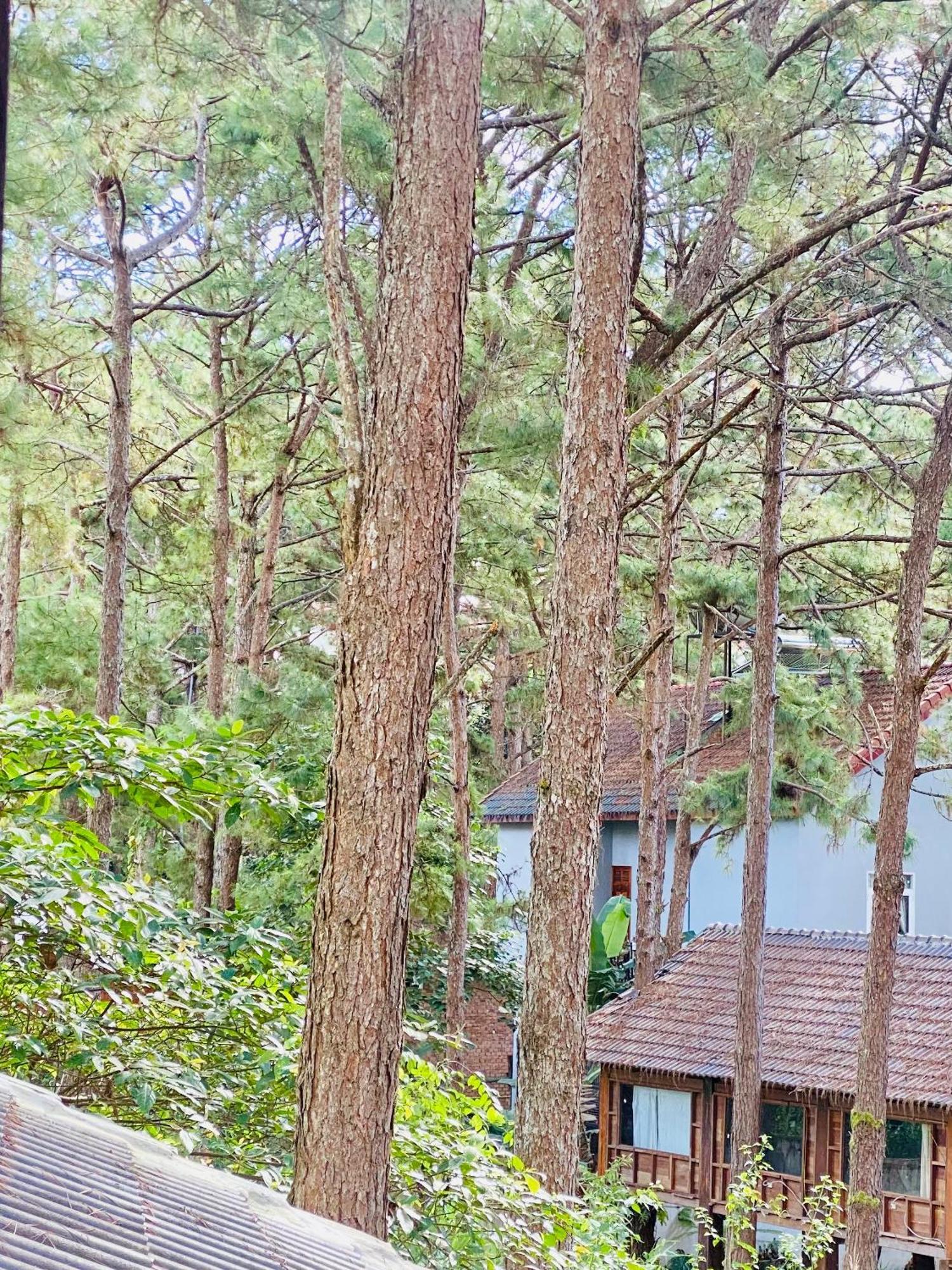 Tron Homestay Kon Von Kla エクステリア 写真